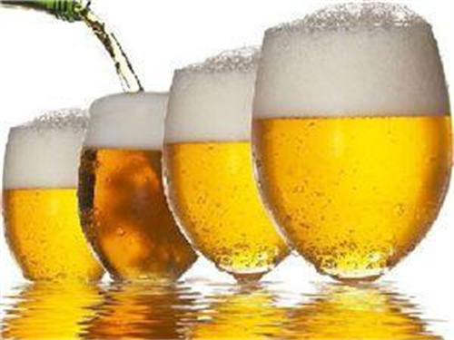 外国人眼中的青岛啤酒_来自不同国家的介绍，你猜哪个最高？