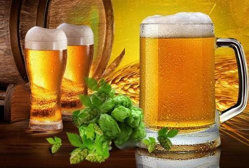 60度啤酒的酒精含量是多少？