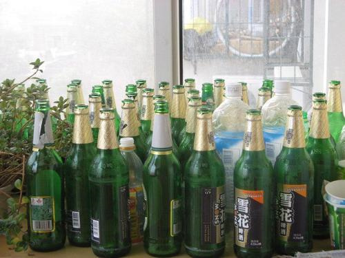 绿兰莎啤酒酒精度是多少？