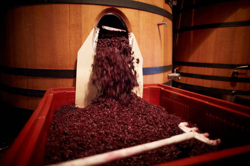 自酿红葡萄酒保质期多长时间？这些小方法能让你的酒更加持久
