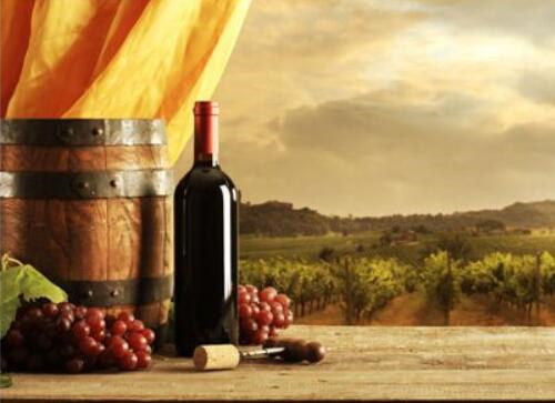 拉菲庄园葡萄酒价格一览，品质与价格的完美平衡